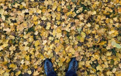 Warum Gehen eine Form der Meditation ist