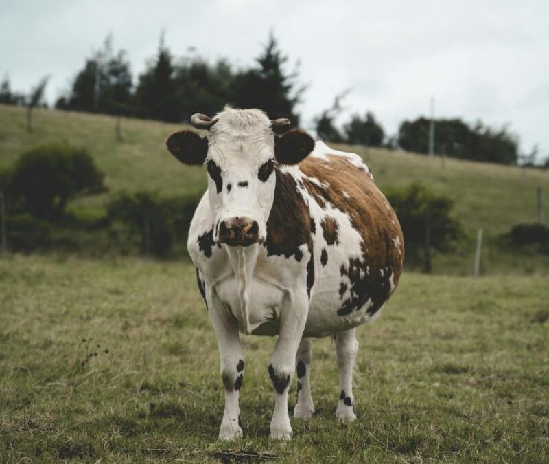 Darf die Führungskraft auch auf sich selbst schauen?